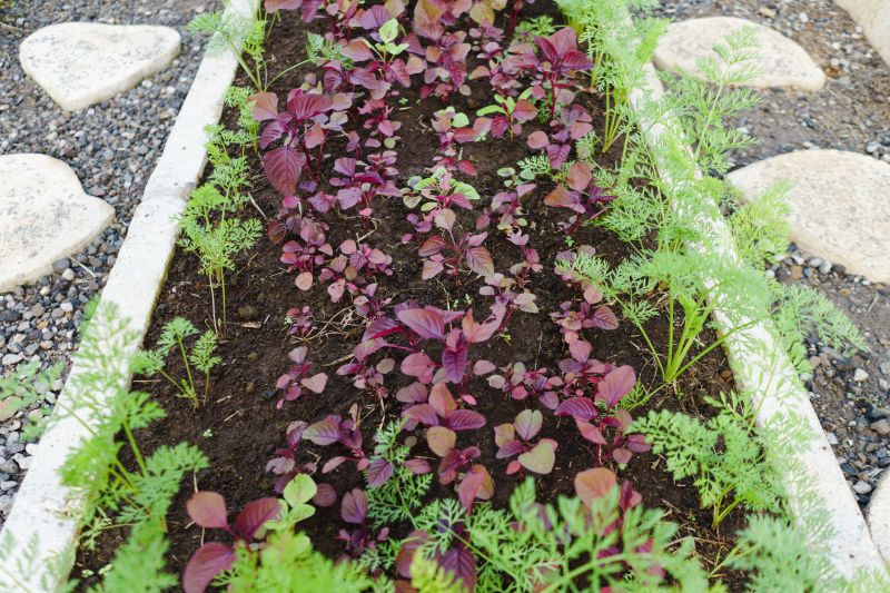 Plant Bed Edging Service